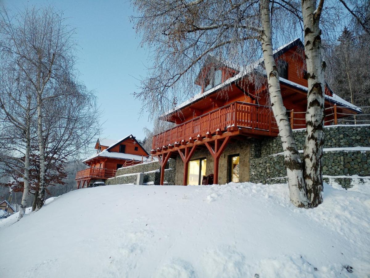Sowiogorska Ostoja Apartment Jugow ภายนอก รูปภาพ